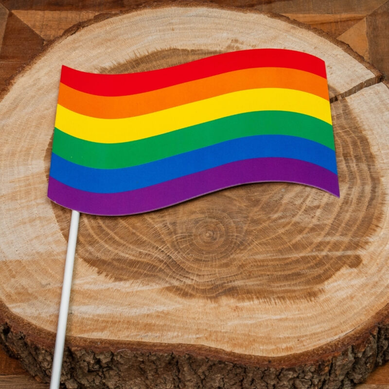 Pride Fotoprops - Afbeelding 2